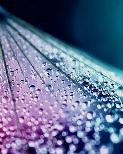 Ressourceneffizienz und Umwelttechnologien